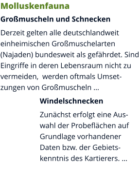 Molluskenfauna Großmuscheln und Schnecken Derzeit gelten alle deutschlandweit einheimischen Großmuschelarten (Najaden) bundesweit als gefährdet. Sind Eingriffe in deren Lebensraum nicht zu vermeiden,  werden oftmals Umsetzungen von Großmuscheln … Windelschnecken Zunächst erfolgt eine Auswahl der Probeflächen auf Grundlage vorhandener Daten bzw. der Gebietskenntnis des Kartierers. …