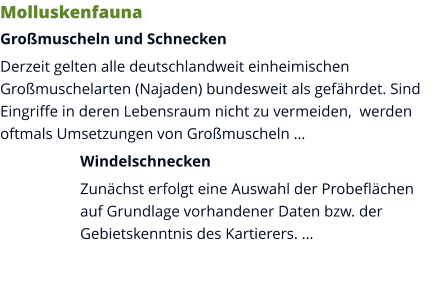 Molluskenfauna Großmuscheln und Schnecken Derzeit gelten alle deutschlandweit einheimischen Großmuschelarten (Najaden) bundesweit als gefährdet. Sind Eingriffe in deren Lebensraum nicht zu vermeiden,  werden oftmals Umsetzungen von Großmuscheln … Windelschnecken Zunächst erfolgt eine Auswahl der Probeflächen auf Grundlage vorhandener Daten bzw. der Gebietskenntnis des Kartierers. …