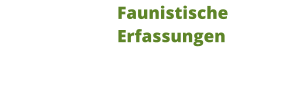 Faunistische Erfassungen
